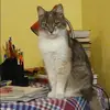 Отзыв от Надежда Павловская